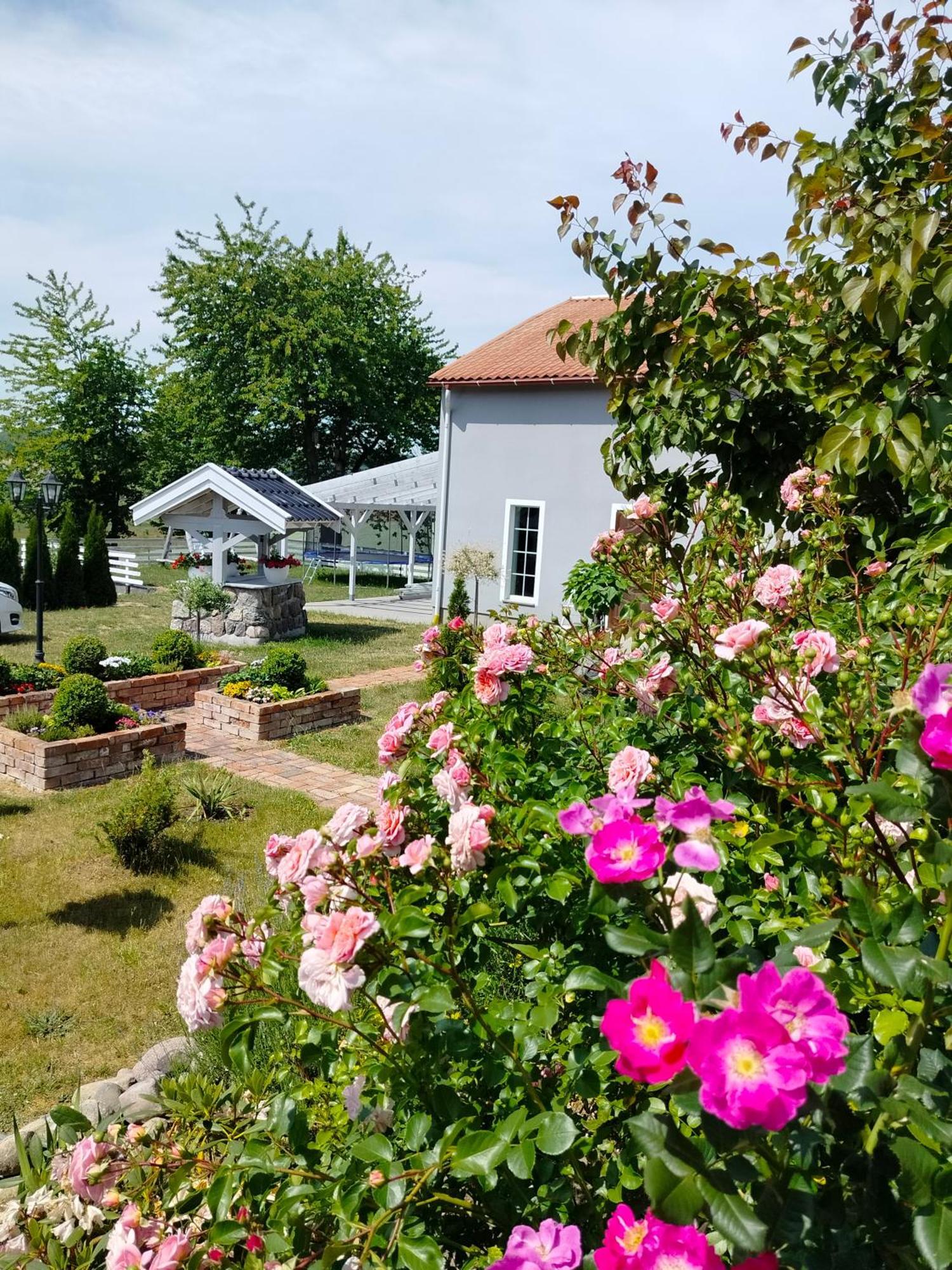 Appartement Agroturystyka Rybno à Rybno  Extérieur photo